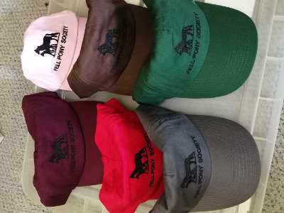 baseball caps in several colours