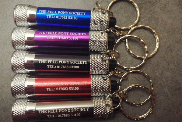 assorted coloured key ring-torches