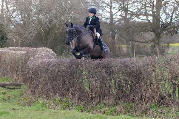  jumping a hedge