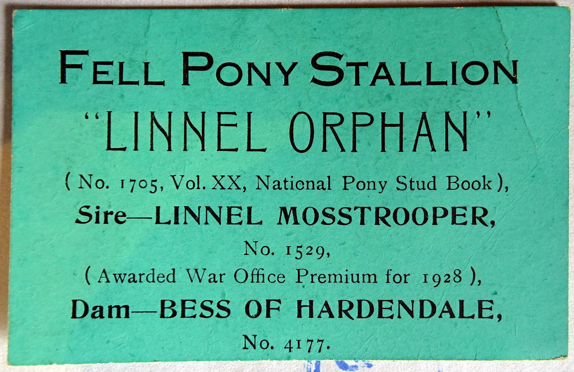 a card from 1928 advertising a stallion