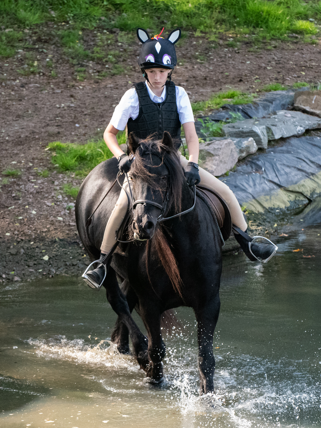 pony and rider fording a stream