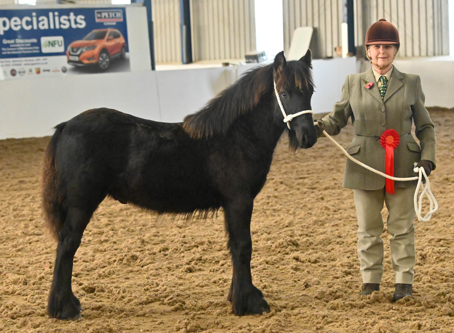 black pony and handler with red rosette