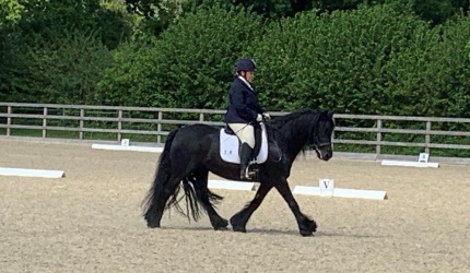 black pony being ridden in an outdoor arena