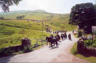 Bert Morlands Fell Gather (select to view a larger image)