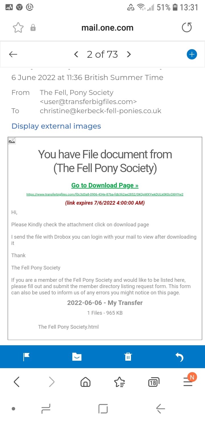 Fake email screenshot