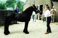 Lunesdale Henry.  Spring 2000 Lunesdale gathering.  [select to view a larger image]
