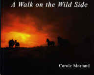 WalkOnTheWildSide.jpg (55171 bytes)