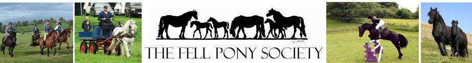 Fell Pony Society logo and images of ponies