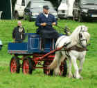 p1s.Breed-Show07-Driven-class-w.jpg (343003 bytes)
