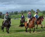 p1s.trottingrace.crosby.jpg (263668 bytes)