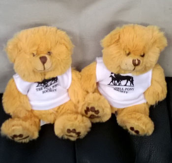 small soft toy teddies