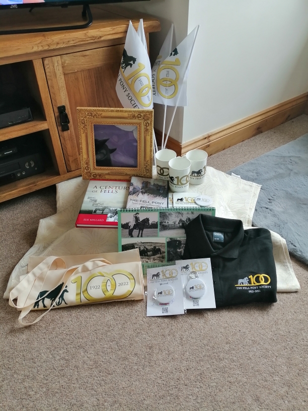 arrangement of books, DVDs, T-shirts, bags and badges