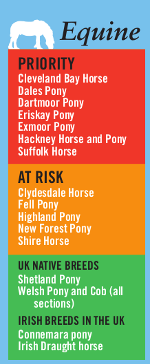 screenshot of RBST Watch list for equines
