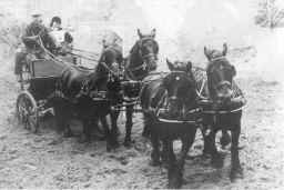 H.R.H. The Duke of Edinburghdriving H.M. The Queen's team of Fell ponies at the National Carriage Driving championships, Windsor. [ select to view a larger image ]