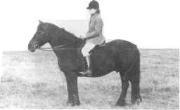 Mrs. Sally Breeze riding Lownthwaite Rob, aged 18.  [ Select to view a larger image ]