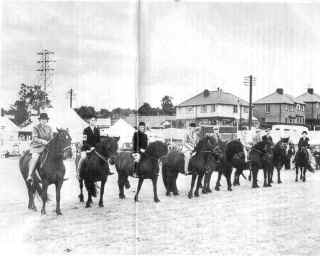 Fell Riding Class, Penrith Show some years ago [ select to view a larger image ]