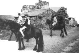 Bowderdale Jess ridden by Suzanne Forsman, along with other competitors about to start the Autumn Performance Trial, Blawith in 1990.  [Select to view a larger image\