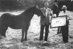 Lt. Col. SIR JOHN MILLER presenting the Supreme Championship to SLEDDALE BEAUTY XXVII, owned by Mr & Mrs Norton of Kent, bred by Mr T. H. Harrison, Shap, at the 1991 Fell Pony Society Southern Show, Horspath, nr. Oxford. [Select to view a larger image]