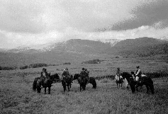 Fell Pony Society Pleasure Ride 1999