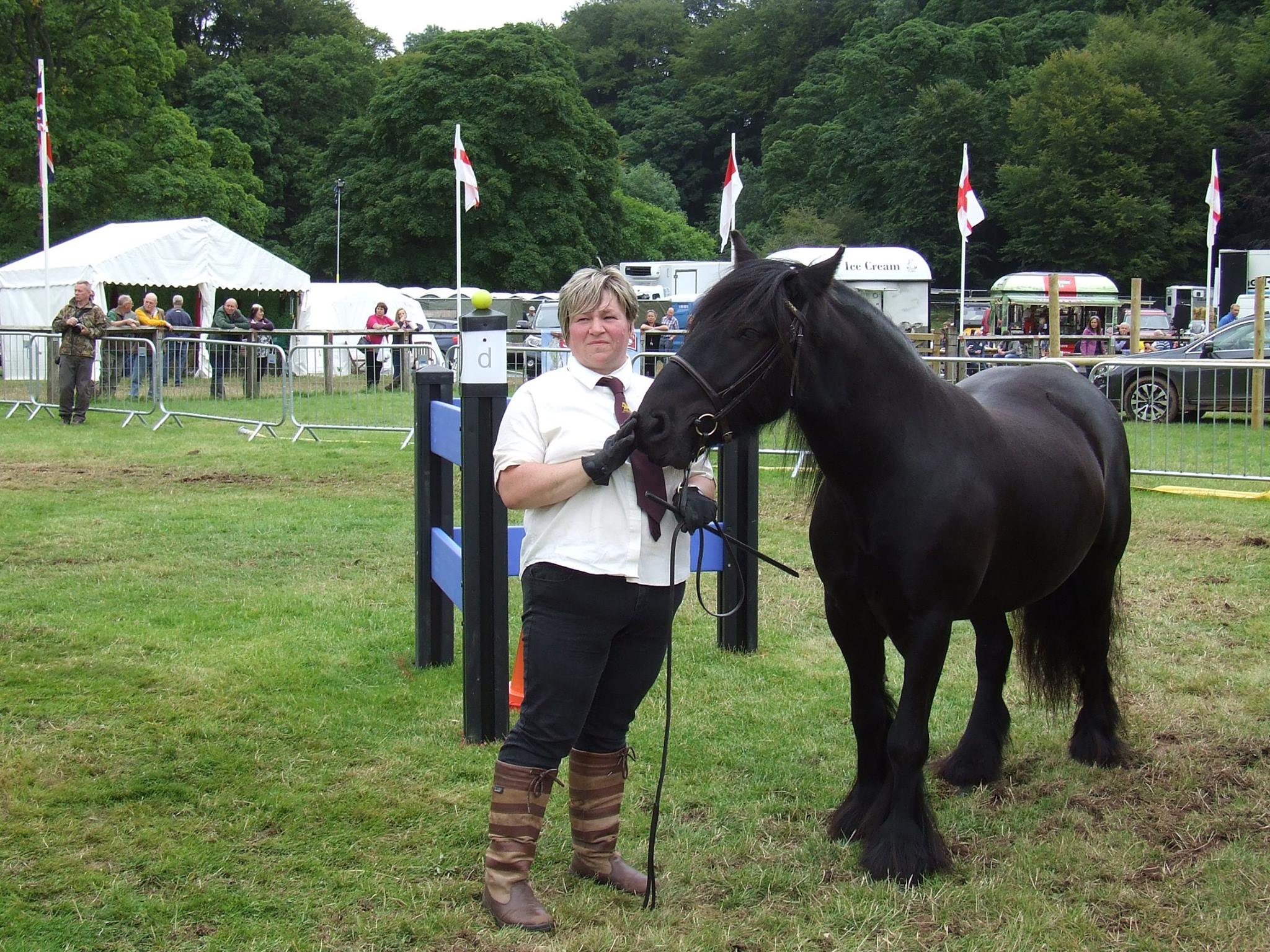 Fell pony and handler in the ring at Lowther