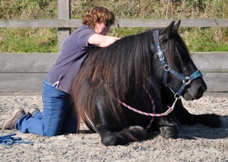 murthwaite jethro lying down