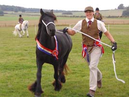 wellbrow elsie, supreme championm at the Southern Show 2014