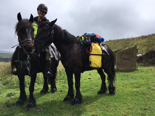 ponies on Mary Towneley loop with memorial stone