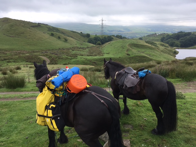 riding and pack ponies resting on the ride, near Rochdale