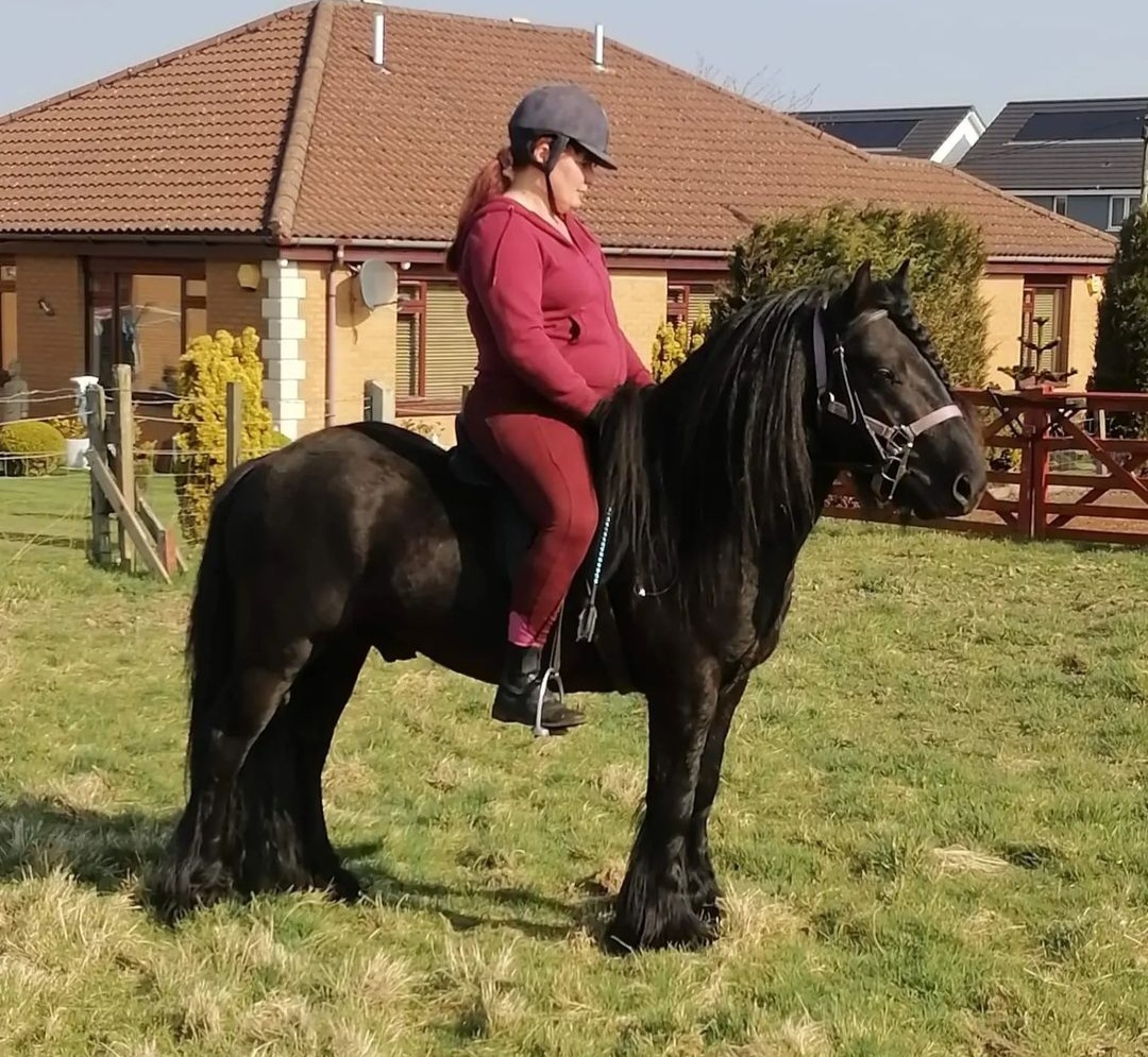 black pony with rider