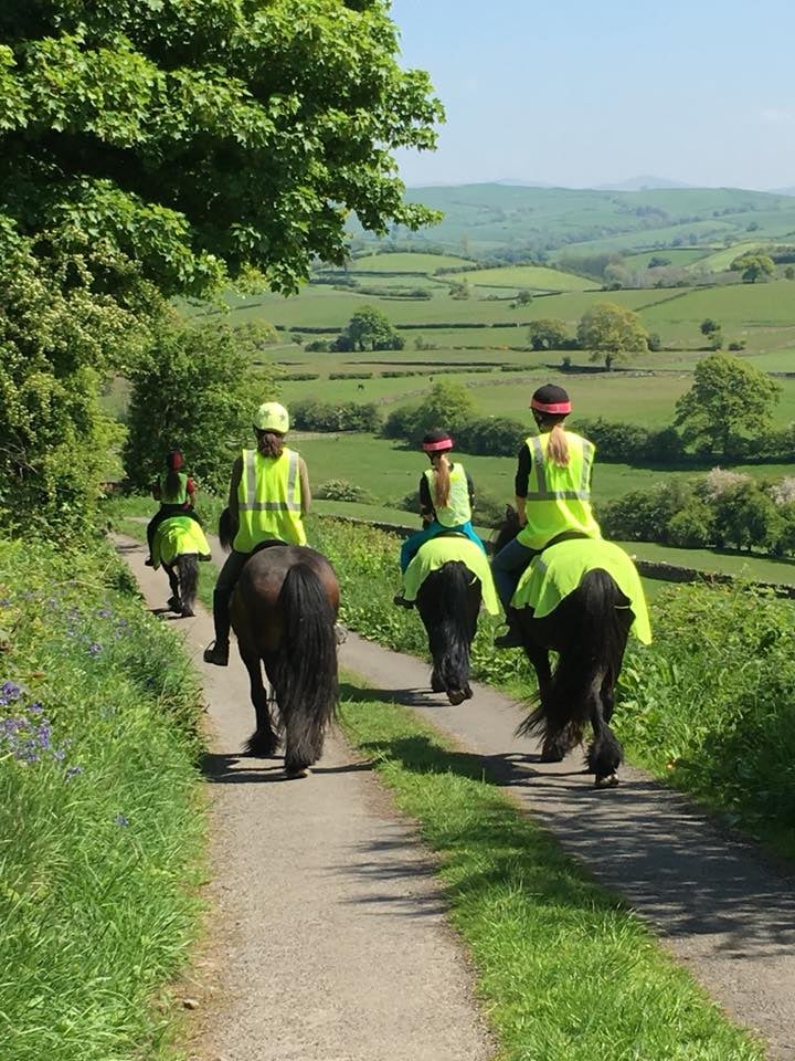 ponies and riders in high vis clothing enjoying a country ride