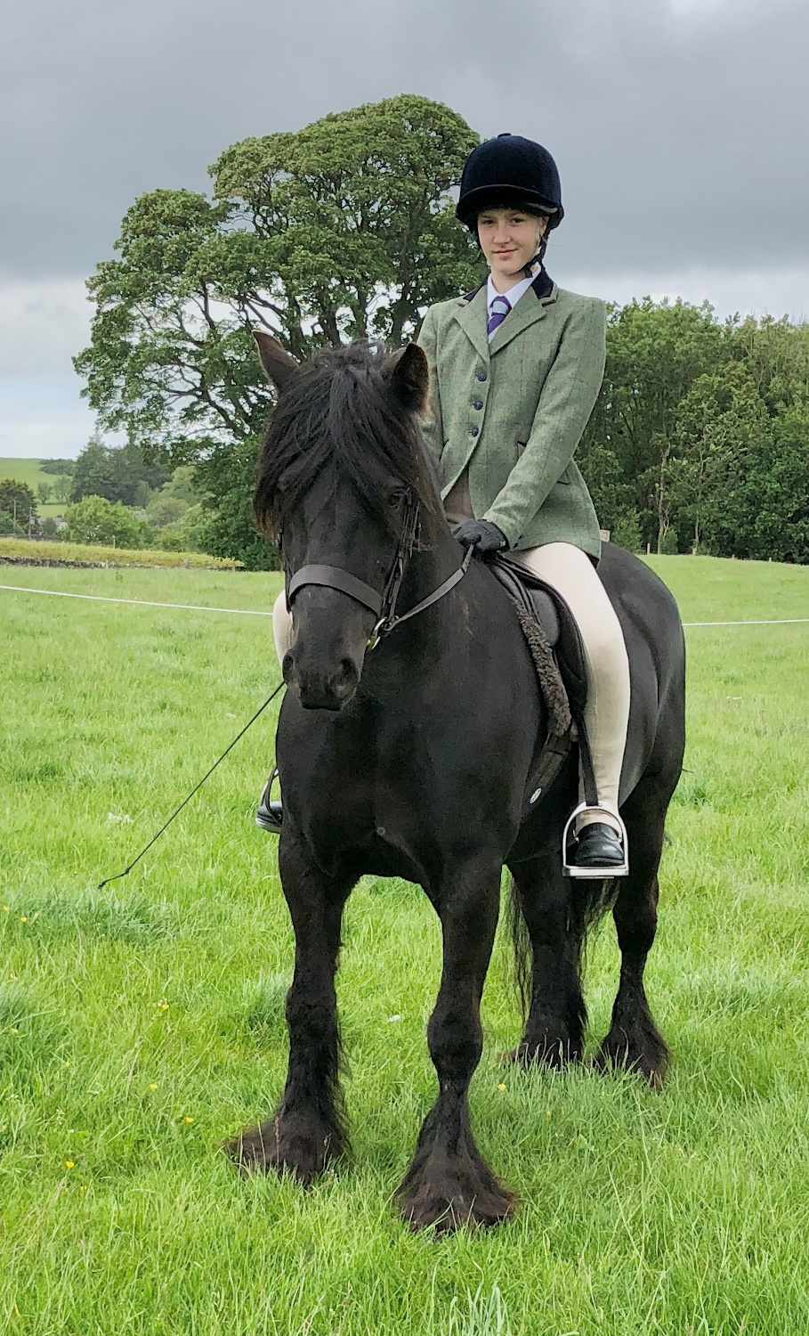 pony and rider in a field