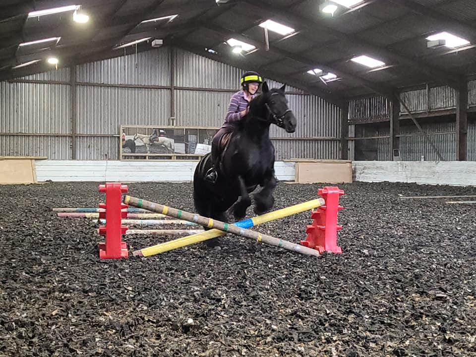 black pony and rider jumping cross-poles in an arena