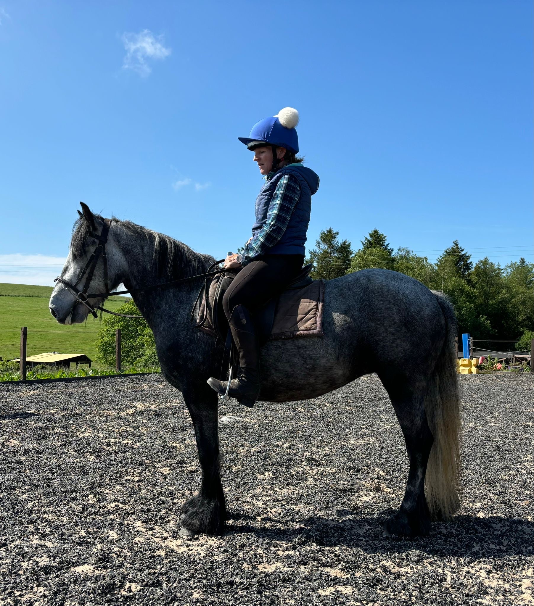 grey pony with rider, side view