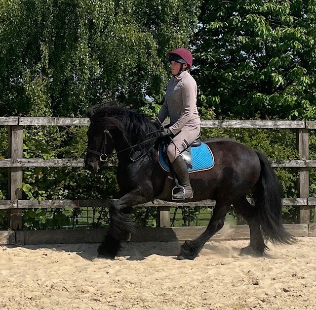 black pony cantering with a rider