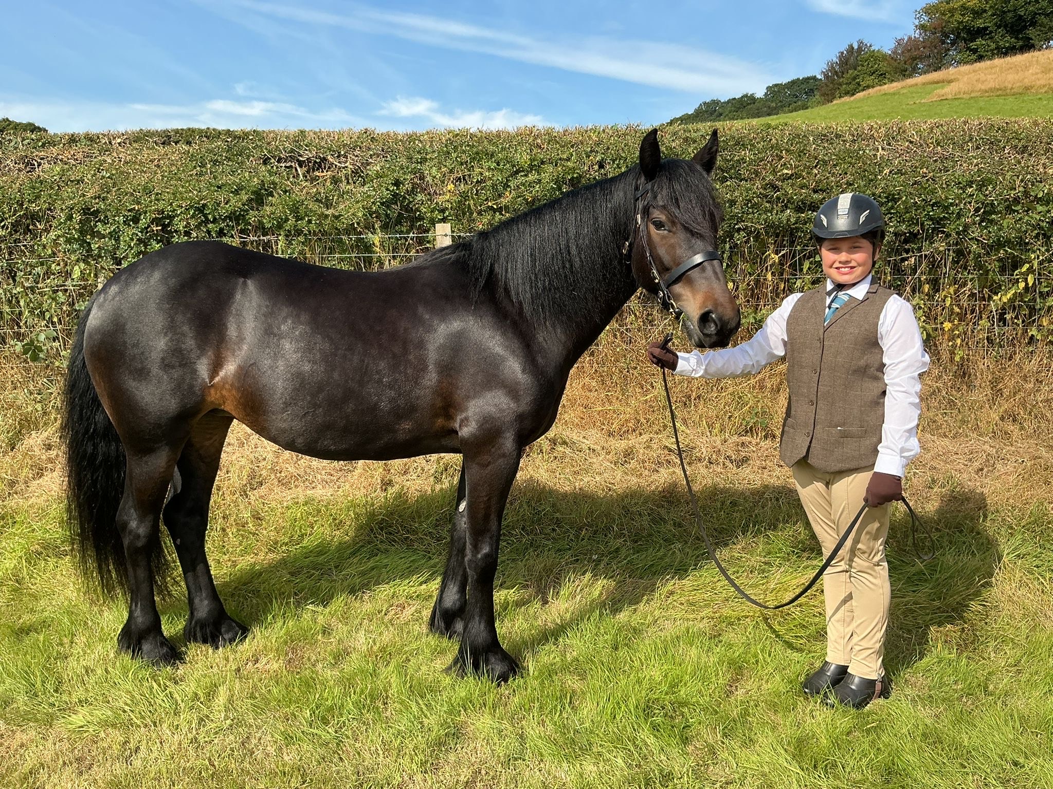 brown pony with her handler