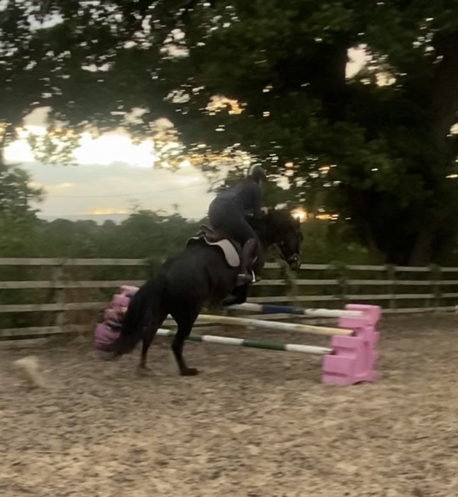 brown pony jumping a fence in an outdoor school