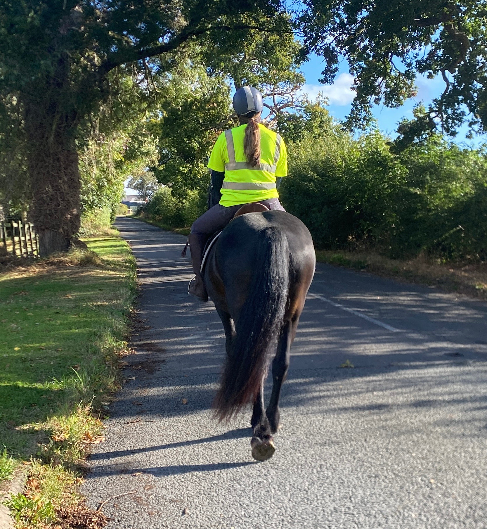 rear view of brown pony being ridden along a country road