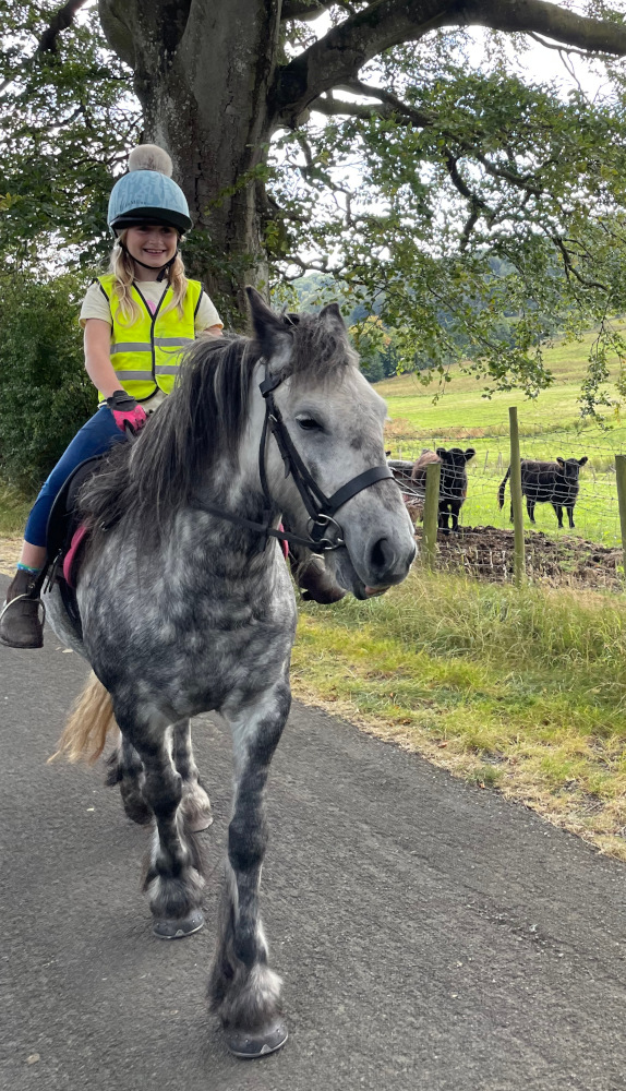grey pony being ridden along a lane