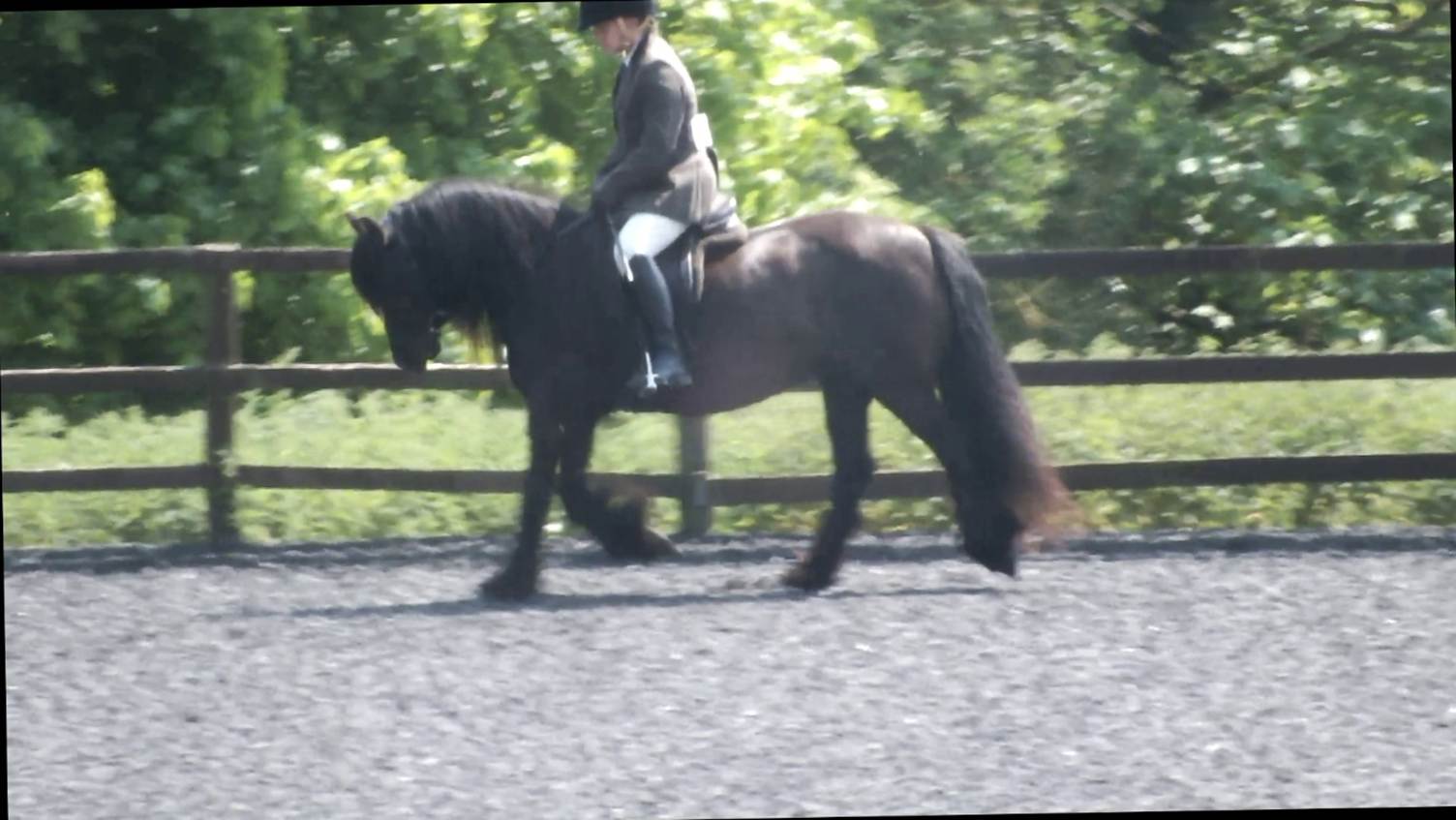 black pony being ridden in an outdoor arena