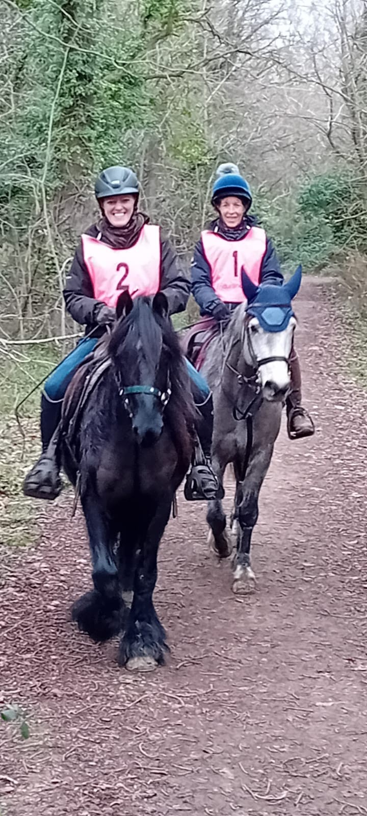brown pony being ridden