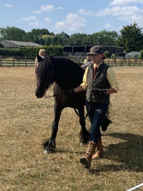 brown pony walking beside her handler at an event