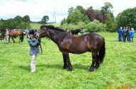 2002 Sizergh Competitor Young Handlers Class [ select to view a larger image ]