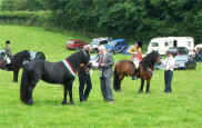 2007.SouthCumbriaShow.Presentation.jpg (115618 bytes)