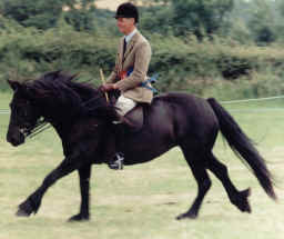 Bob Charlton atop Linnel Candytuft, 1999.  [select to view a larger image]