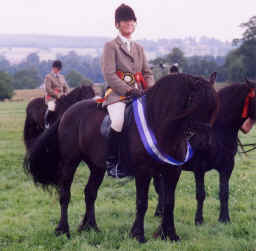 Lunesdale Prince Henry ridden by Julie Robinson [select to view a larger image]