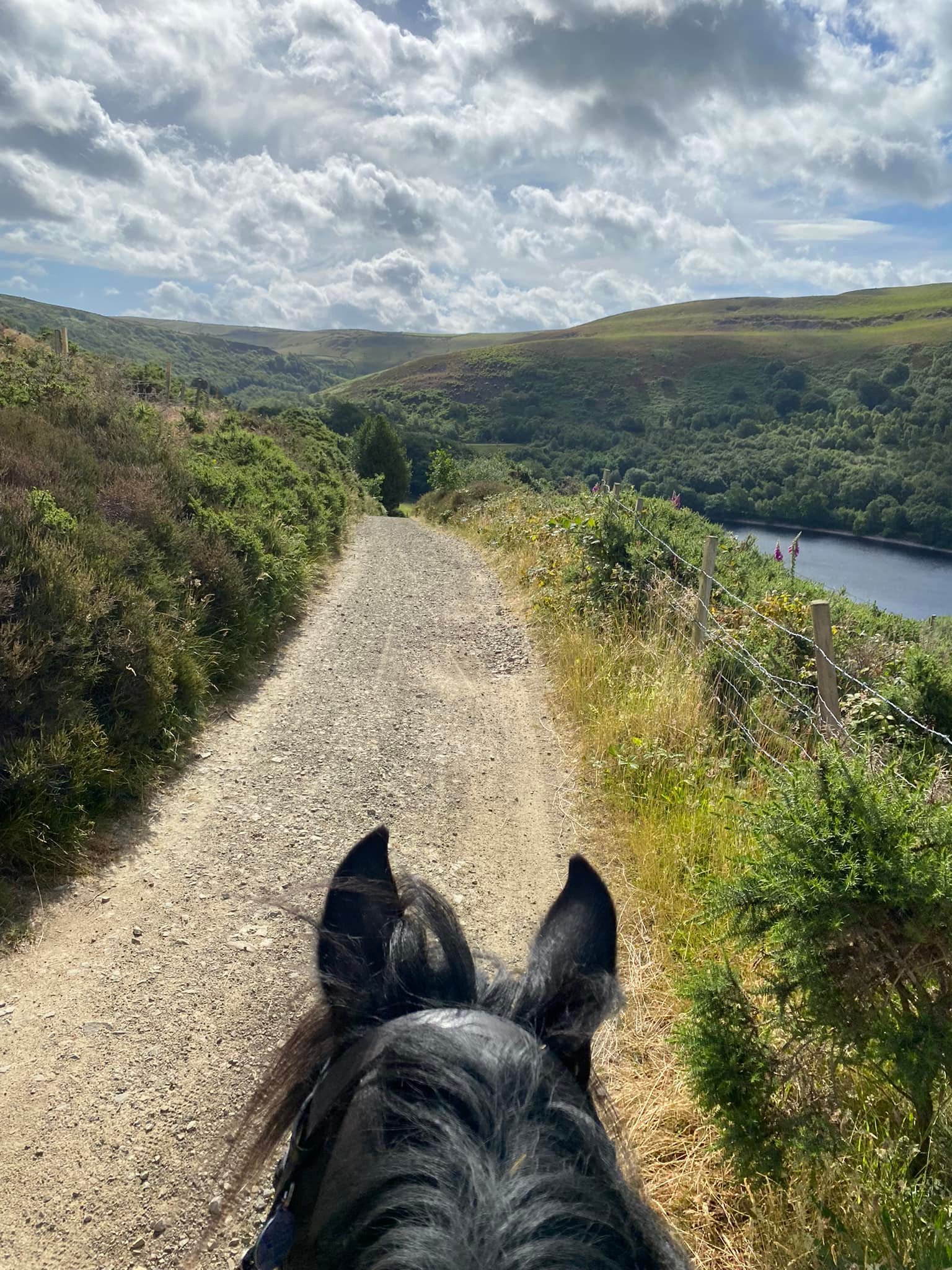 pony head and country track