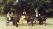 Maybee,  Dalemain Bugle and Friar Bigiggin Peggy.  Aug 1986. [ select to view a larger image ]