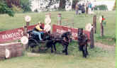 Dalemain Bugle in a driving competition traffic jam.  [ select to view a larger image ]