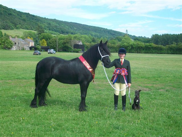 The Fell Pony Society Photo Gallery 2009 July 2012 The Fell Pony Society Photo Gallery 2009 July 2012