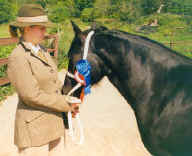 Llancloudh Sapphire at Royal Bathand West 2002. [ Select to view a larger image. ]